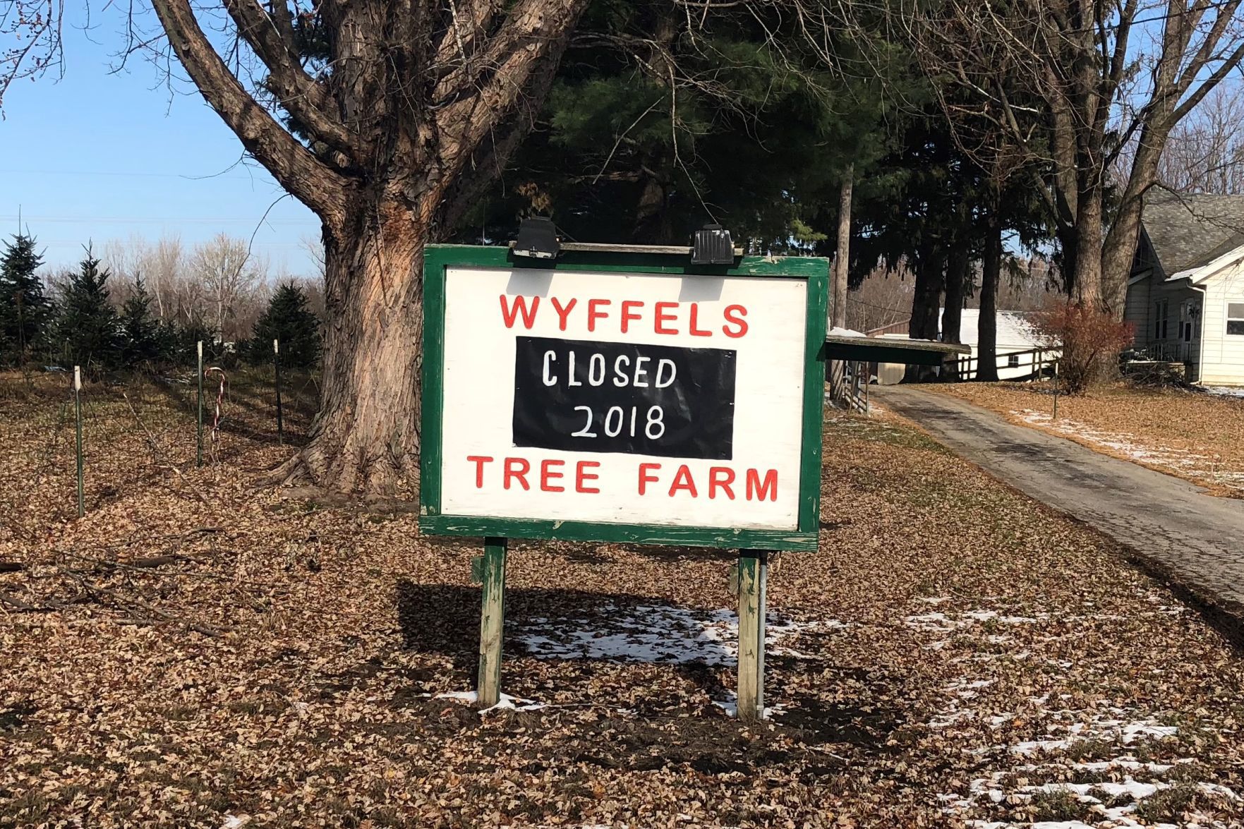 Wyffels Tree Farm